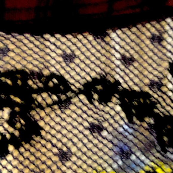 Free People Plaid Button down top - Picture 4 of 8